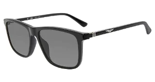 Police Sunglasses SPLE05M