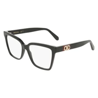 Salvatore Ferragamo Eyeglasses SF3060