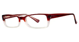 Modern Plastics I Eyeglasses WISDOM