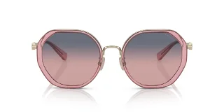 Coach Sunglasses HC7141