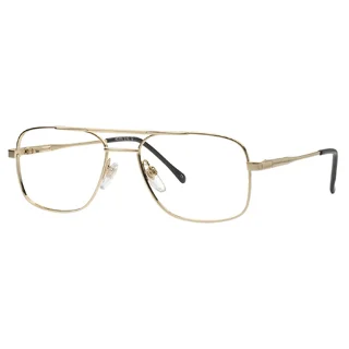 Stylewise Eyeglasses KEVIN
