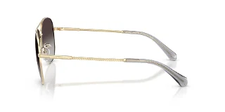 Michael Kors Sunglasses MK1172