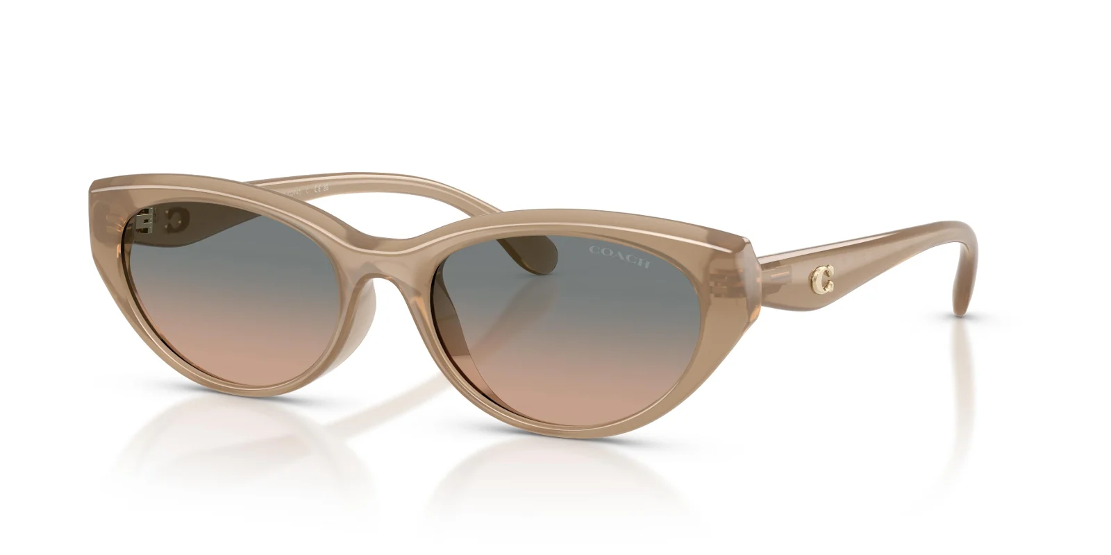 Coach Sunglasses HC8456D
