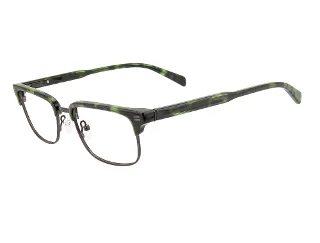 C2 Green Tortoise