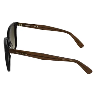Longchamp Sunglasses LO807S