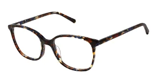 Steel + Tate Eyeglasses SLTA-0015