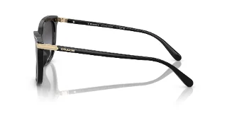 Coach Sunglasses HC8378U