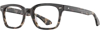 C02 Safari Tortoise