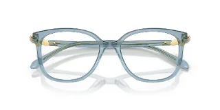 Swarovski Eyeglasses SK2069F