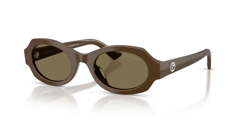 Giorgio Armani Sunglasses AR8245HU
