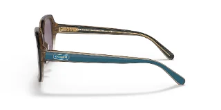 Coach Sunglasses HC8335U
