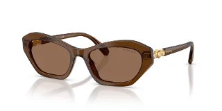 108473 Transparent Brown