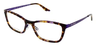 Purple Tortoise