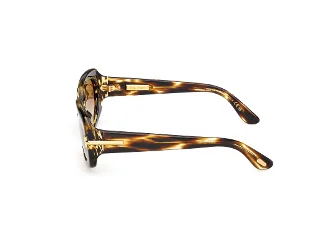 Tom Ford Icon Sunglasses FT1253