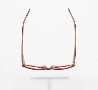 Polo Eyeglasses PP8501