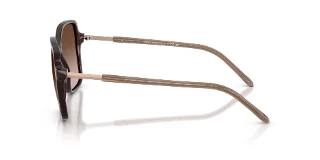 Armani Exchange Sunglasses AX4163SF