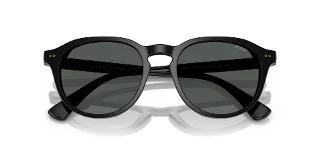 Polo Sunglasses PH4221F
