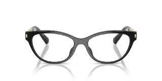Michael Kors Eyeglasses MK4171U