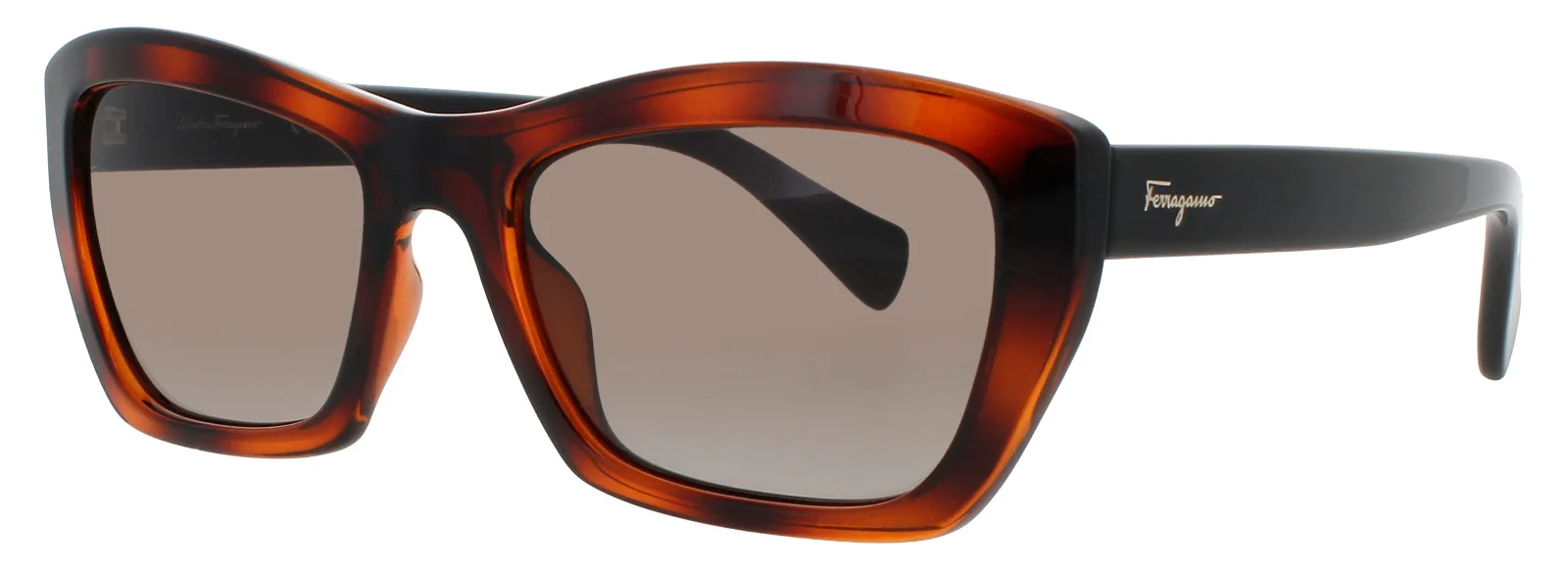 Salvatore Ferragamo Sunglasses SF958S