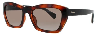 Salvatore Ferragamo Sunglasses SF958S