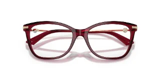 Jimmy Choo Eyeglasses JC3007HB