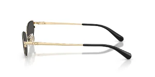 Coach Sunglasses HC7196D