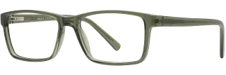 C03 Olive