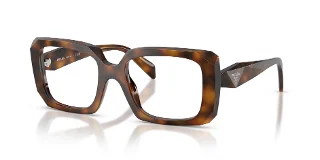 20D1O1 Juniper Tortoise