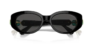 Swarovski Sunglasses SK6002F