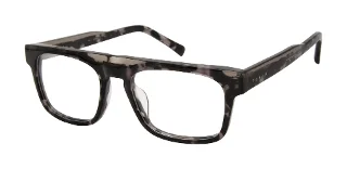 Ted Baker Eyeglasses TM013