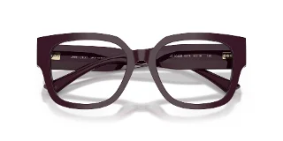 Jimmy Choo Eyeglasses JC3042B