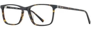 C03 Tortoise