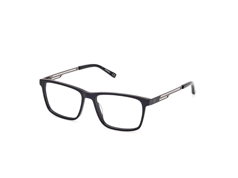 Harley Davidson Eyeglasses HD0137T
