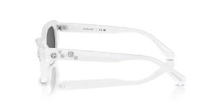 Swarovski Sunglasses SK6019F