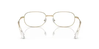 Swarovski Eyeglasses SK1005