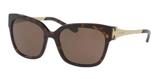 137873 Dark Tortoise
