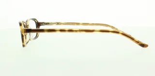 Polo Eyeglasses PP8502