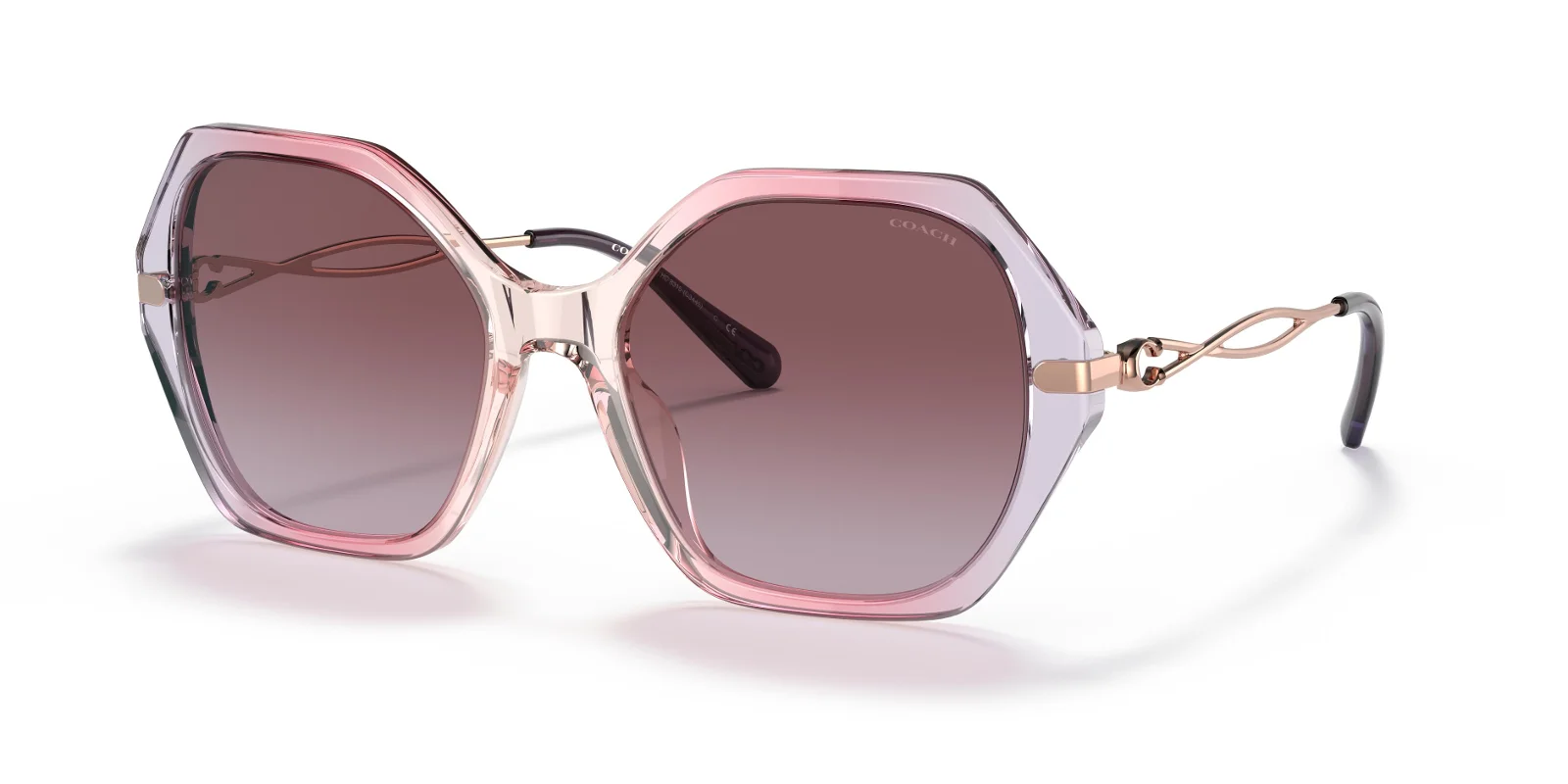 Coach Sunglasses HC8315