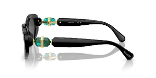 Swarovski Sunglasses SK6002F