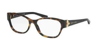 5010 Top Tortoise On Black