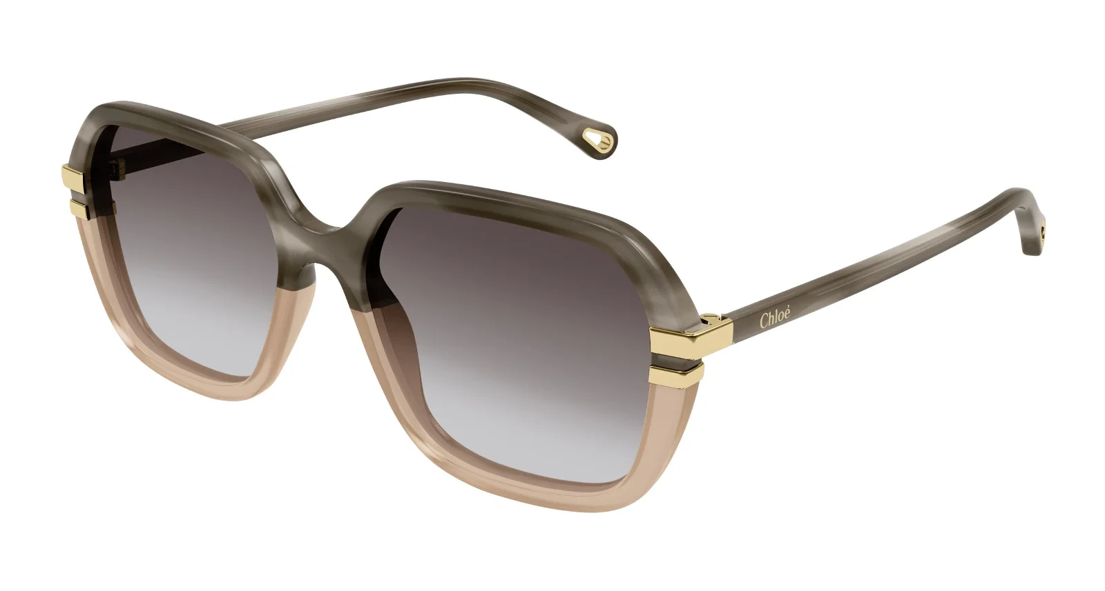 Chloe Sunglasses CH0204S