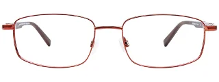 Easyclip Eyeglasses EC493