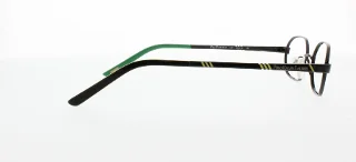 Polo Eyeglasses PP8017