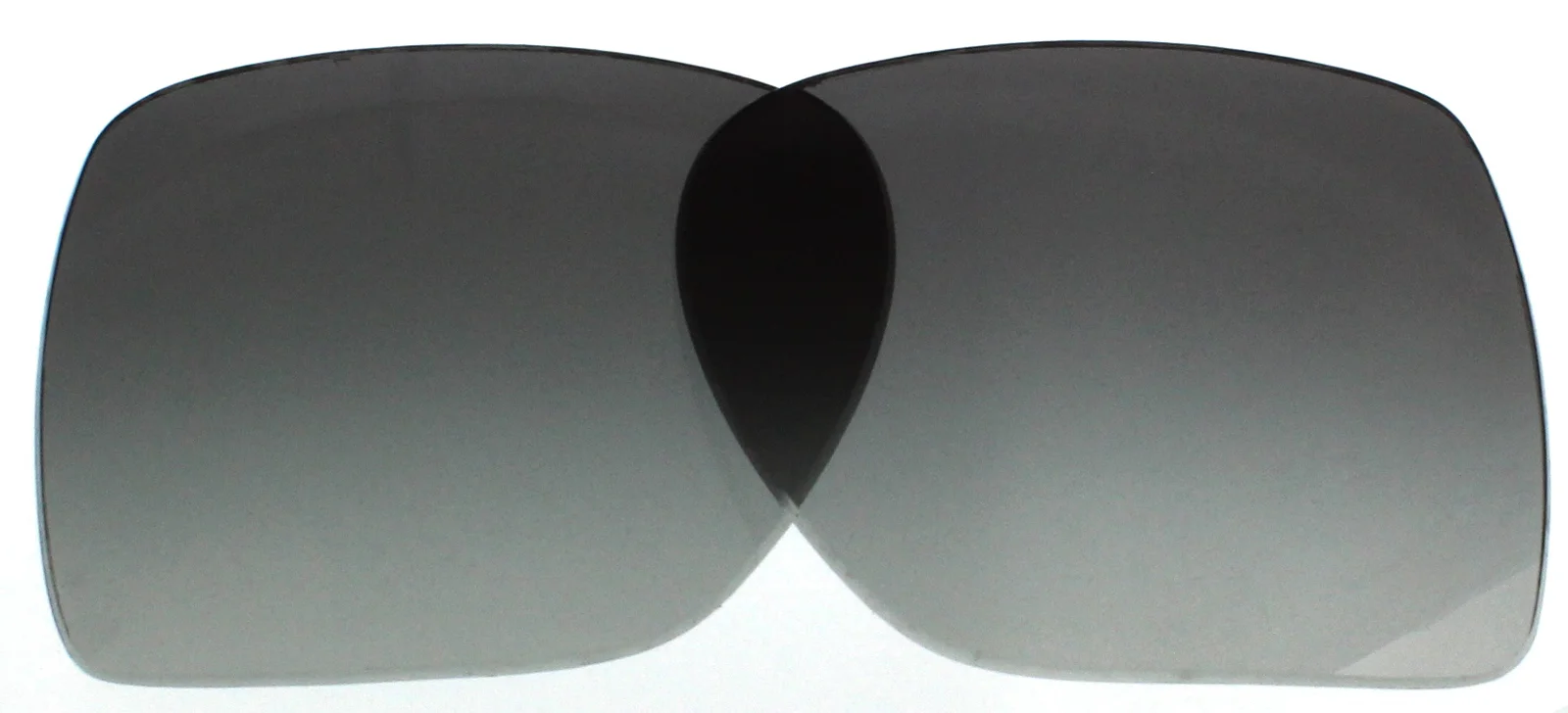 Ralph Lauren Replacement Lenses RL8039
