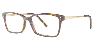024 Tortoise